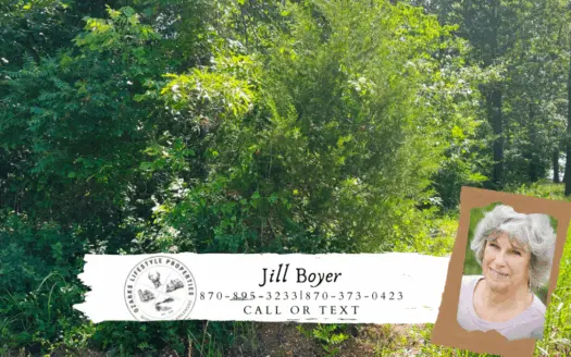 Lakefront Lot for Sale in Horseshoe Bend Ar