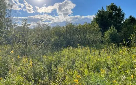 Acreage for Sale with Rhine Lake Access, Finlayson, Mn