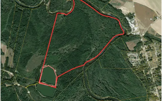 Auction Barham’s Woods, Nottoway River, Southampton Co Va