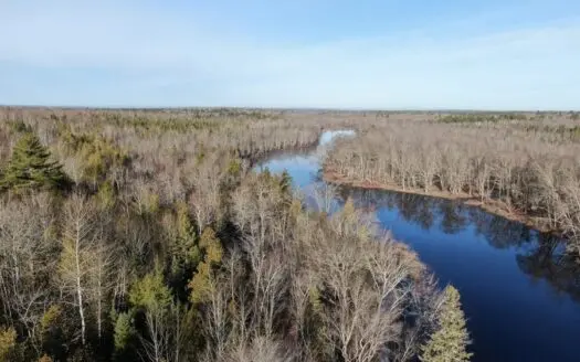 Big Timberland & Stream Frontage Near Bangor
