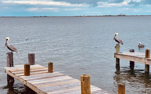 Best places to purchase a coastal home in 2024