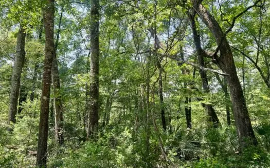 Lot On The Suwannee River In Live Oak
