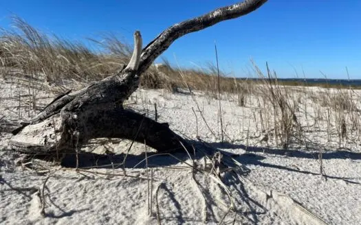 Waterfront Lot for Sale Beaufort NC