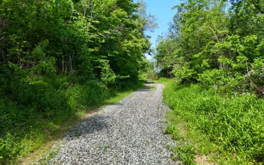 19.27 Acres For Sale in Meadows of Dan, Virginia