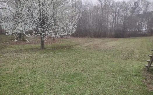 Land for Sale in Decatur County, Tennessee