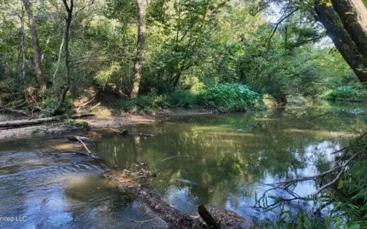 30 Acre Amite River Hunting Tract Amite County MS