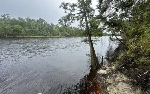 River Lot For Sale On The Suwannee River!!