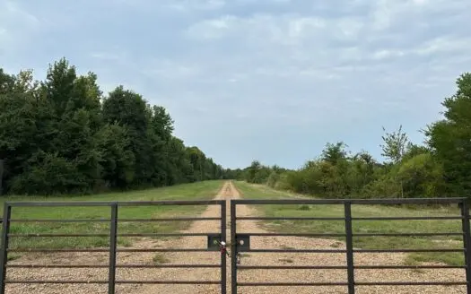 Duck and Deer Hunting Land for Sale Wisner  LA