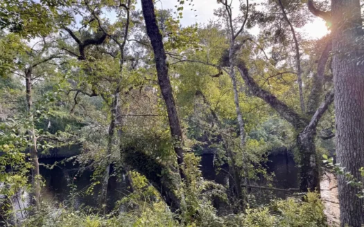 Alapaha River Front Property For Sale in Jasper, FL