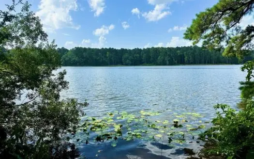 Lake Dixie Springs Lakefront Lot for Sale in Pike County