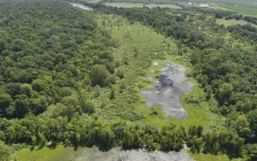 Duck Hunting Land near Red River in Lafayette County, AR for Sale