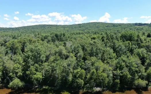 1.274 Acre Parcel with Deeded Lake Access