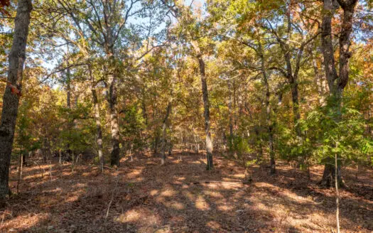 Lot 25 in Subdivision in Gated Community with Airstrip on Bull Shoals Lake Peninsula