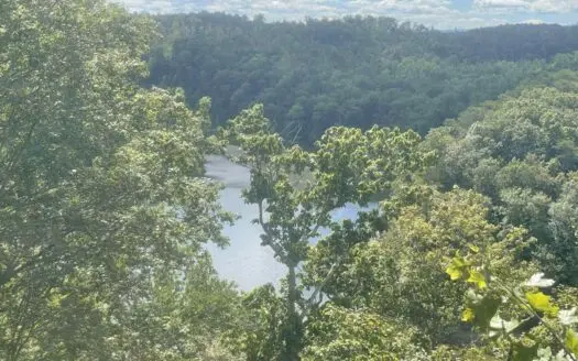 Lakeview Lot on Dale Hollow Lake