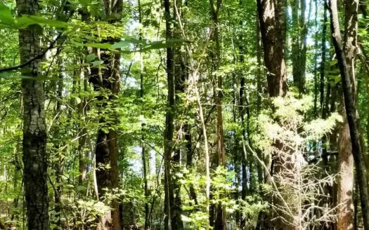 Lake View & Privacy On Lake Gaston, NC