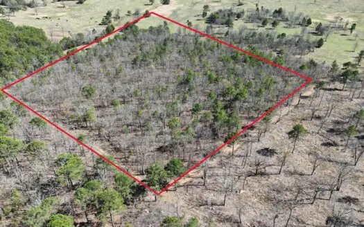 Lakeview Property For Sale – Sardis Lake Yanush, OK.