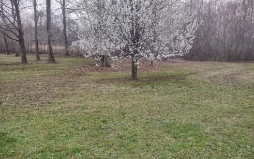 Land for Sale in Decatur County, Tennessee