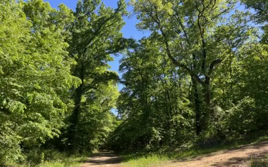 Mountain Land for Sale in Southeastern Oklahoma