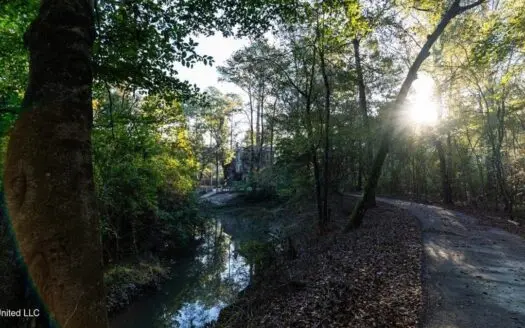 233-Acre Paradise on the Tickfaw River, Osyka, Amite County, MS