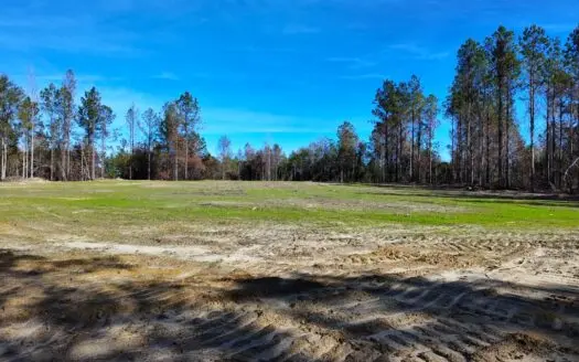 Alabama River Bluff Hunting & Timberland 183 Acres