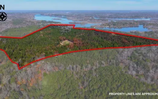 Alabama River Bluff Hunting & Timberland 182 Acres