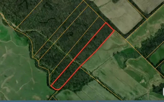 Land Auction Ballard County, Kentucky Tract #3