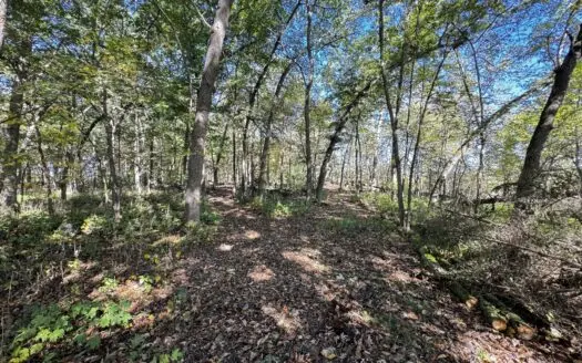 28± acre Sauk County Gem of a Property