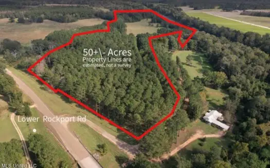 50 Acres on the Pearl River For Sale Simpson County Mississippi